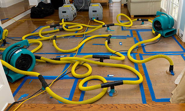 Professional Burst Pipe Water Damage technician working in Woodbridge, NJ